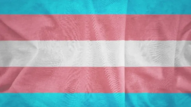 transgender flag